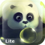Download Panda Dumpling Lite