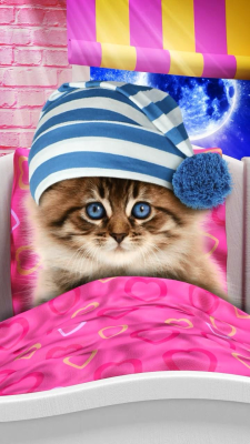 Screenshot of the application Talking cat. Dancing! - #2