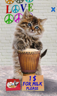 Screenshot of the application Talking cat. Dancing! - #6