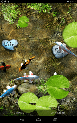 Screenshot of the application Koi Free Live Wallpaper - #2