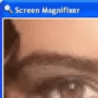 Download Magnifixer