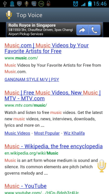 Screenshot of the application Top Voice - #3