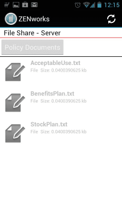Screenshot of the application ZENworks - #3