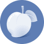 Download Necta Launcher