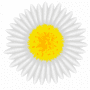 Download Colorful battery indicator