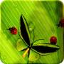 Download Friendly Bugs Free L.Wallpaper