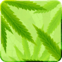 Download MaryJane Live Wallpaper