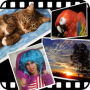 Download Gallery Free Live Wallpaper