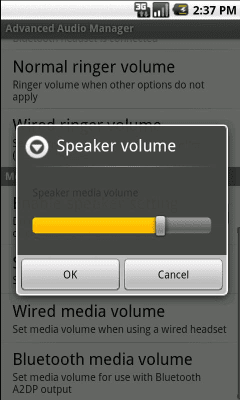 Screenshot of the application Volume Manager - #3