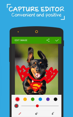 Screenshot of the application Dolphin Screen Cut - #2