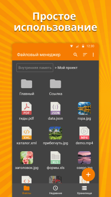 Screenshot of the application Simple File Manager - #2