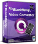 Download BlackBerry Video Converter