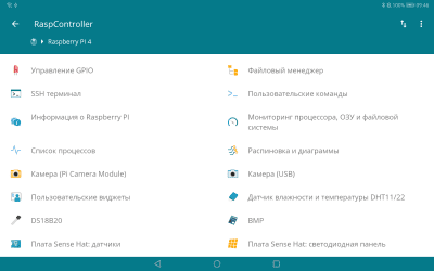 Screenshot of the application RaspController - #12