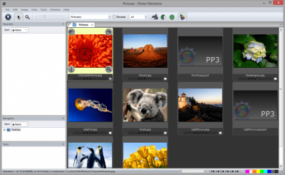 Screenshot of the application Photo Mechanic - #1