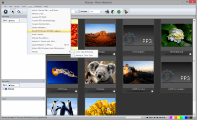 Screenshot of the application Photo Mechanic - #2