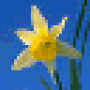Download IconUtils