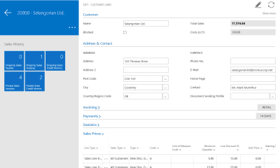 Screenshot of the application Dynamics NAV - #11