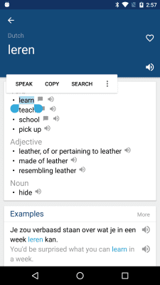 Screenshot of the application Dutch English Dictionary - #2