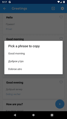 Screenshot of the application Learn Russian Phrasebook - #5