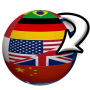 Download Language Switcher