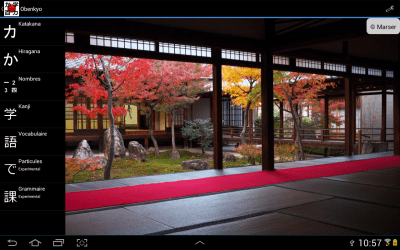 Screenshot of the application Obenyko - #8
