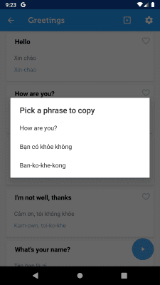 Screenshot of the application Learn Vietnamese Phrasebook - #5