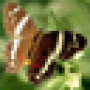 Download Altarsoft Photo Editor