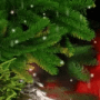 Download New Year's Eve Chimes Screensaver