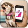 Download Dog Teaser