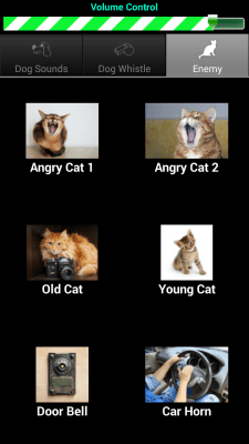 Screenshot of the application Dog Teaser - #2