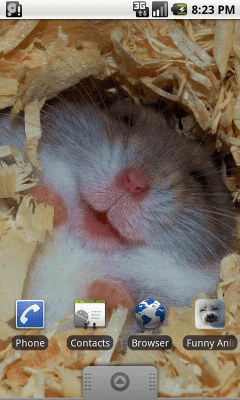 Screenshot of the application Funny Animals Wallpapers #1 - #3