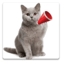 Download Dexati Cat Sounds