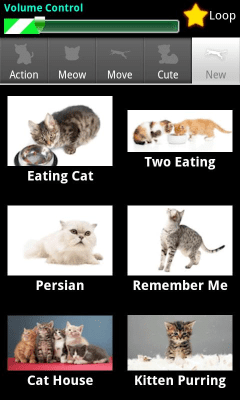 Screenshot of the application Dexati Cat Sounds - #2