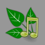 Download Sounds of Nature: relaxation