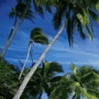 Download dArt Tropical Islands