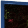 Download Flaredance Firework Screensaver