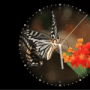 Download Photo Clock-7