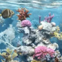 Download Aquatica 3D