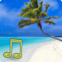Download Sounds of the Sea