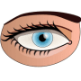 Download Eye Trainer