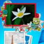 Download Free Photo Frame