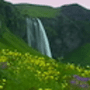 Download Flowers Waterfall