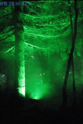 Screenshot of the application Forest Sounds to Relax - #3