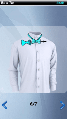 Screenshot of the application Tie Platinum Tie - #3