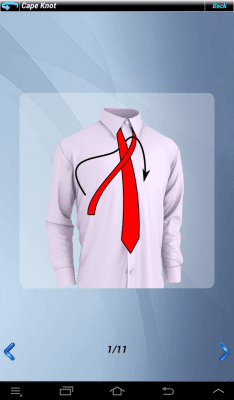 Screenshot of the application Tie Platinum Tie - #12