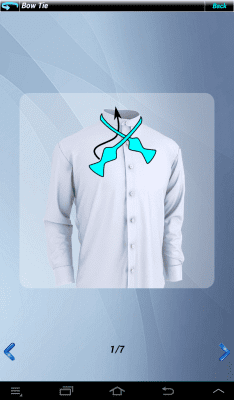 Screenshot of the application Tie Platinum Tie - #15