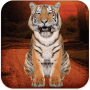 Download Talking Tiger