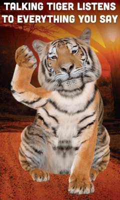 Screenshot of the application Talking Tiger - #2