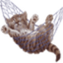 Download Sleeping Cat