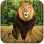 Download Talking Lion